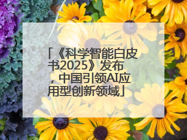《科学智能白皮书2025》发布，中国引领AI应用型创新领域
