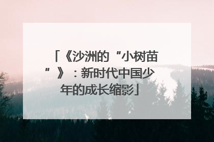 《沙洲的“小树苗”》：新时代中国少年的成长缩影