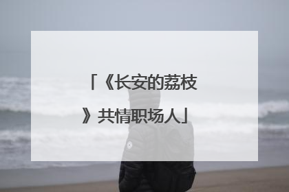 《长安的荔枝》共情职场人