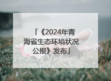 《2024年青海省生态环境状况公报》发布