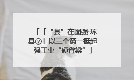 「“县”在图强·环县②」以三个第一挺起强工业“硬脊梁”