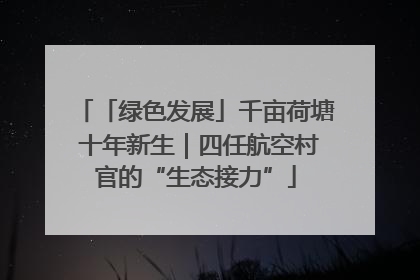 「绿色发展」千亩荷塘 十年新生｜四任航空村官的“生态接力”