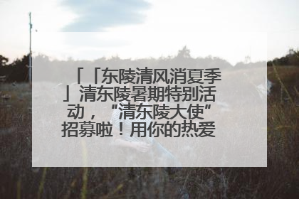 「东陵清风消夏季」清东陵暑期特别活动，“清东陵大使”招募啦！用你的热爱守护世界遗产！
