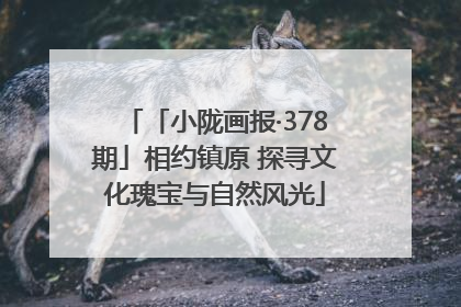 「小陇画报·378期」相约镇原 探寻文化瑰宝与自然风光
