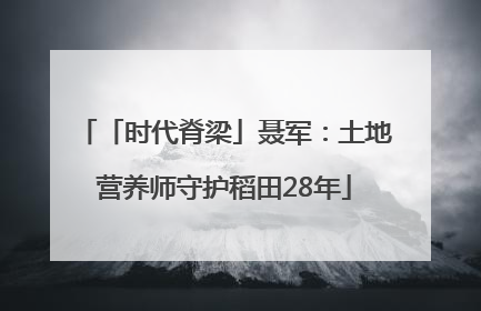 「时代脊梁」聂军：土地营养师守护稻田28年