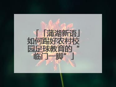 「蒲湖新语」如何踢好农村校园足球教育的“临门一脚”