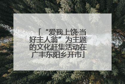 “爱我上饶·当好主人翁”为主题的文化赶集活动在广丰东阳乡开市