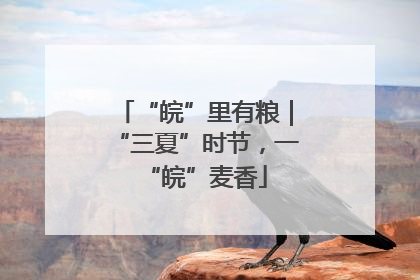 “皖”里有粮｜“三夏”时节，一“皖”麦香