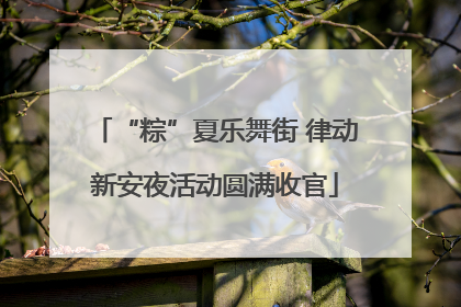 “粽”夏乐舞街 律动新安夜活动圆满收官