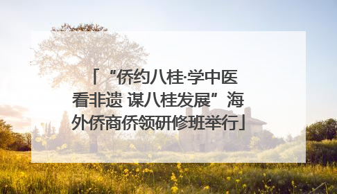 “侨约八桂·学中医 看非遗 谋八桂发展”海外侨商侨领研修班举行