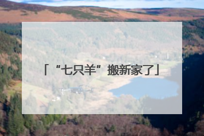 “七只羊”搬新家了