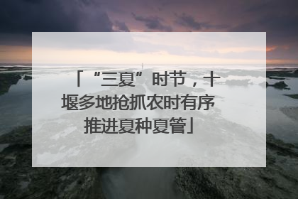 “三夏”时节，十堰多地抢抓农时有序推进夏种夏管