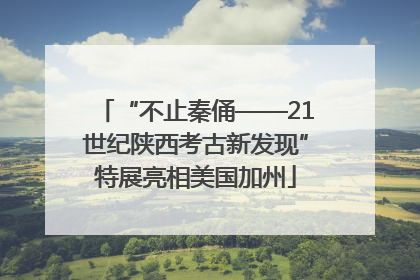 “不止秦俑——21世纪陕西考古新发现”特展亮相美国加州
