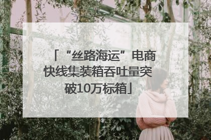 “丝路海运”电商快线集装箱吞吐量突破10万标箱