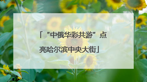 “中俄华彩共游”点亮哈尔滨中央大街