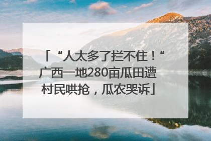 “人太多了拦不住！”广西一地280亩瓜田遭村民哄抢，瓜农哭诉