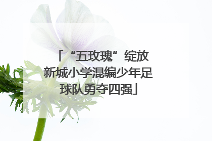 “五玫瑰”绽放 新城小学混编少年足球队勇夺四强