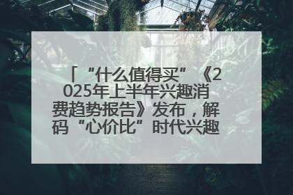 “什么值得买”《2025年上半年兴趣消费趋势报告》发布，解码“心价比”时代兴趣消费新范式
