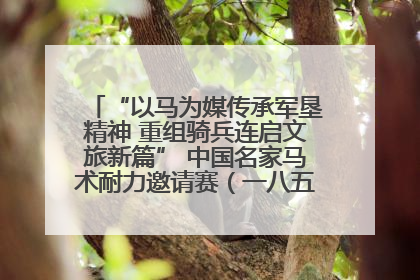 “以马为媒传承军垦精神 重组骑兵连启文旅新篇” 中国名家马术耐力邀请赛（一八五团站）暨重启骑兵连活动正式启动