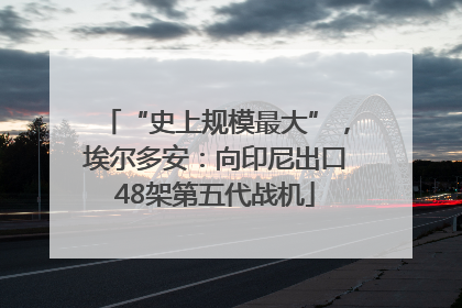 “史上规模最大”，埃尔多安：向印尼出口48架第五代战机