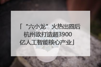 “六小龙”火热出圈后 杭州欲打造超3900亿人工智能核心产业