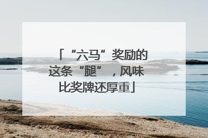 “六马”奖励的这条“腿”，风味比奖牌还厚重