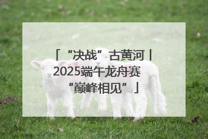 “决战”古黄河丨2025端午龙舟赛“巅峰相见”