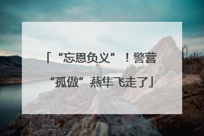 “忘恩负义”！警营“孤傲”燕隼飞走了