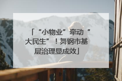 “小物业”牵动“大民生”！舞钢市基层治理显成效