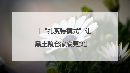 “扎赉特模式”让黑土粮仓家底更实