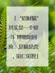“招财猫”其实是一个熨斗 博物馆回应：是猫是虎，见仁见智