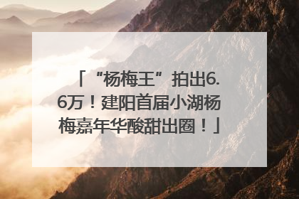 “杨梅王”拍出6.6万！建阳首届小湖杨梅嘉年华酸甜出圈！
