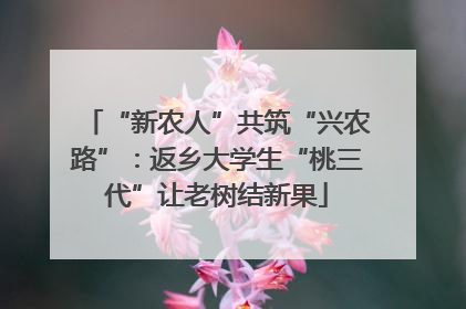 “新农人”共筑“兴农路”：返乡大学生“桃三代”让老树结新果