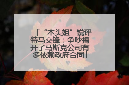 “木头姐”锐评特马交锋：争吵揭开了马斯克公司有多依赖政府合同