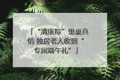 “清廉粽”里裹真情 独居老人收到“专属端午礼”