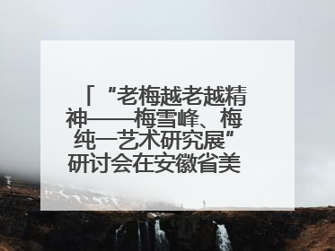 “老梅越老越精神——梅雪峰、梅纯一艺术研究展”研讨会在安徽省美术馆召开