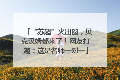 “苏超”火出圈，贝克汉姆都来了！网友打趣：这是名师一对一