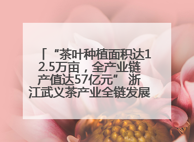 “茶叶种植面积达12.5万亩，全产业链产值达57亿元” 浙江武义茶产业全链发展“加速度”