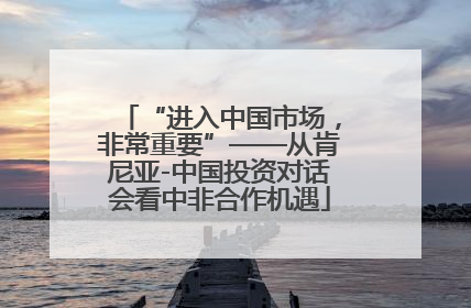 “进入中国市场，非常重要”——从肯尼亚-中国投资对话会看中非合作机遇
