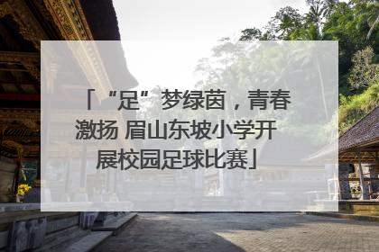 “足”梦绿茵，青春激扬 眉山东坡小学开展校园足球比赛