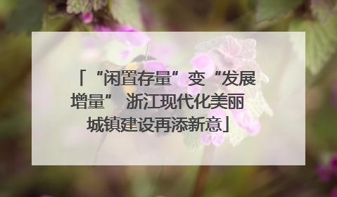 “闲置存量”变“发展增量” 浙江现代化美丽城镇建设再添新意