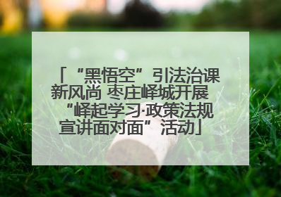 “黑悟空”引法治课新风尚 枣庄峄城开展“峄起学习·政策法规宣讲面对面”活动