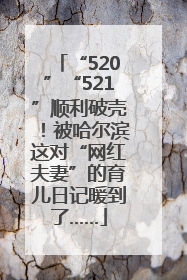“520”“521”顺利破壳！被哈尔滨这对“网红夫妻”的育儿日记暖到了……