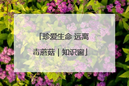 珍爱生命 远离毒蘑菇｜知识窗