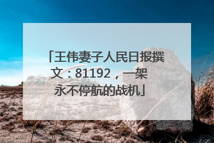 王伟妻子人民日报撰文：81192，一架永不停航的战机