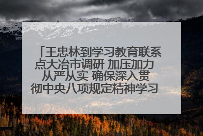 王忠林到学习教育联系点大冶市调研 加压加力 从严从实 确保深入贯彻中央八项规定精神学习教育取得实效