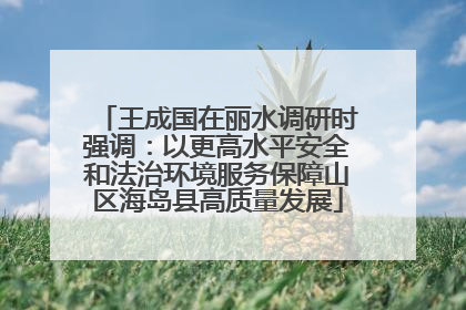 王成国在丽水调研时强调：以更高水平安全和法治环境服务保障山区海岛县高质量发展