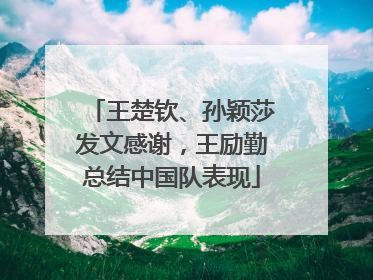 王楚钦、孙颖莎发文感谢，王励勤总结中国队表现