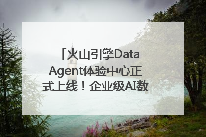 火山引擎Data Agent体验中心正式上线！企业级AI数据专家触手可及
