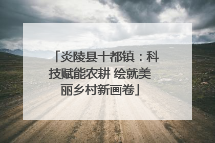炎陵县十都镇：科技赋能农耕 绘就美丽乡村新画卷